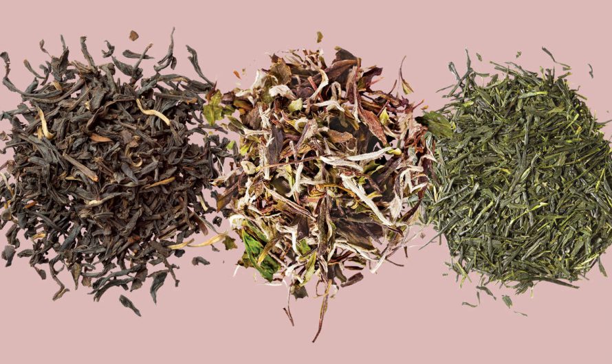 The benefits of Teas, Black Tea, White Tea, and much more