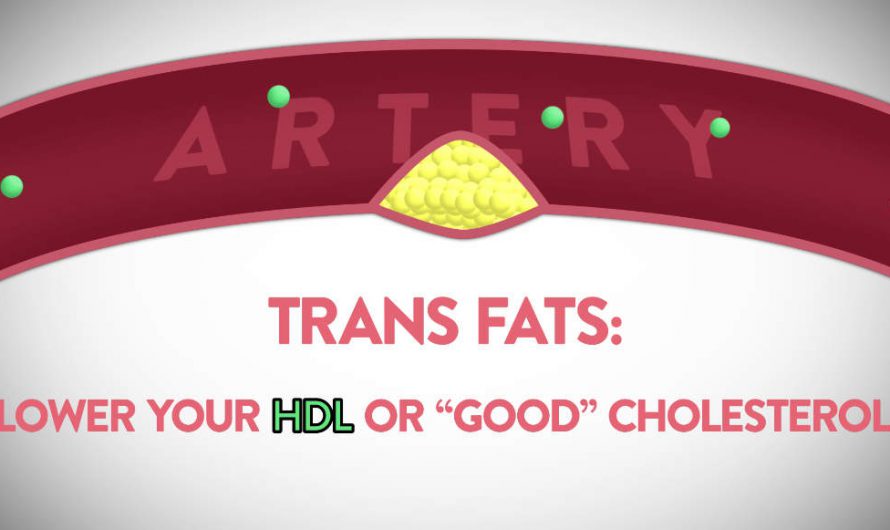 What exactly are Trans Fats?