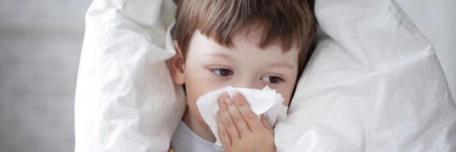Rhinovirus C Structure Has Inhibited Search For Common Cold Cure