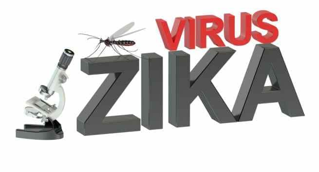Zika Update: Brazilian President entails joint effort to cope with Zika virus