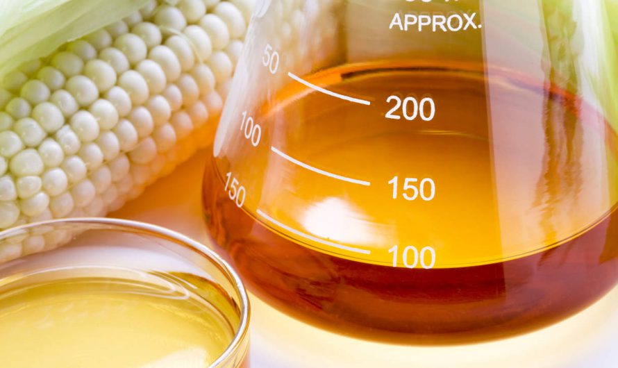 What the heck is High Fructose Corn Syrup and is particularly It Inefficient?