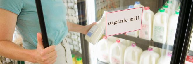 Regular Milk Can't Beat Organic With regards to Heart-Healthy Fats