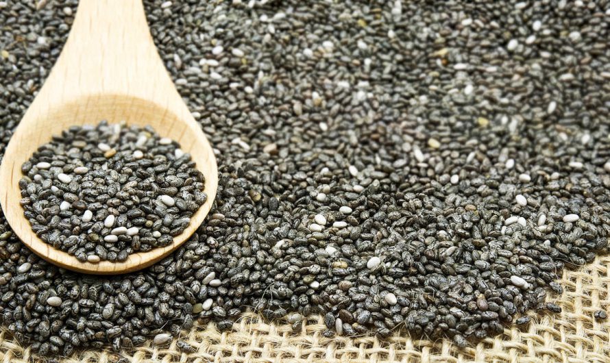 How come Chia Seeds Are extremely Healthy?